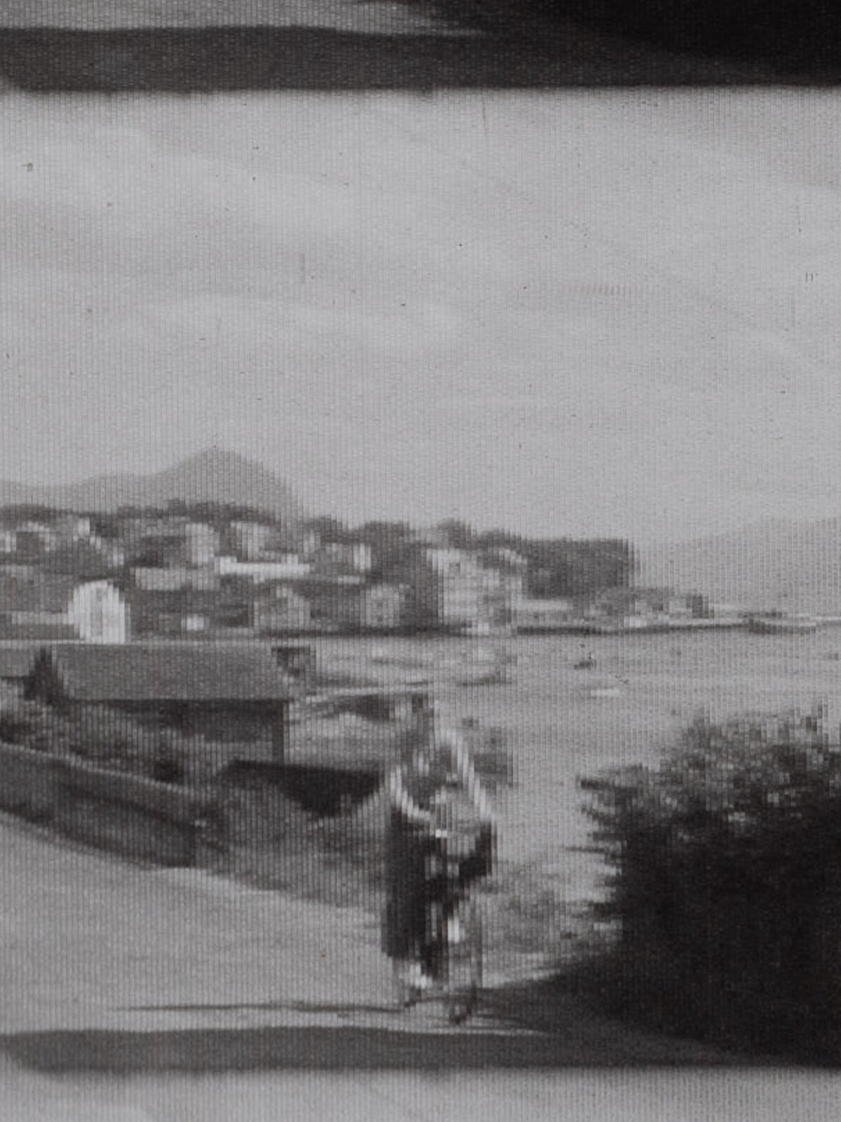 A zoomed image showing the kodacolor striped lenticules