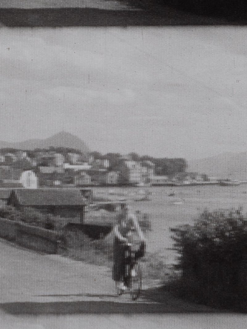 A zoomed image showing the kodacolor striped lenticules